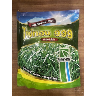 เมล็ดพันธุ์ผักบุ้งจีนใบไผ่(ไผ่ทอง999)1กิโลกรัมเมล็ดคุณภาพคัดพันธุ์พิเศษ