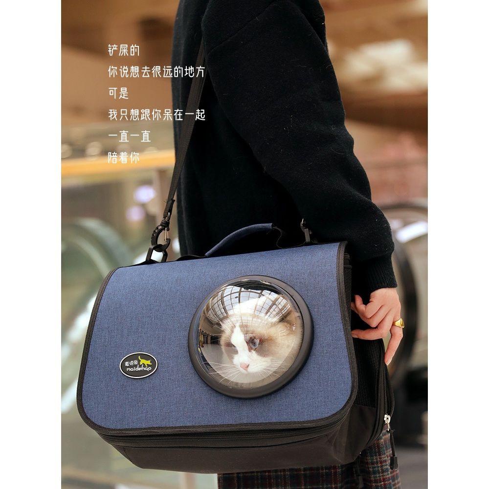 Portable Cat Bag Outing Shoulder School Bag Space Capsule Crossbody