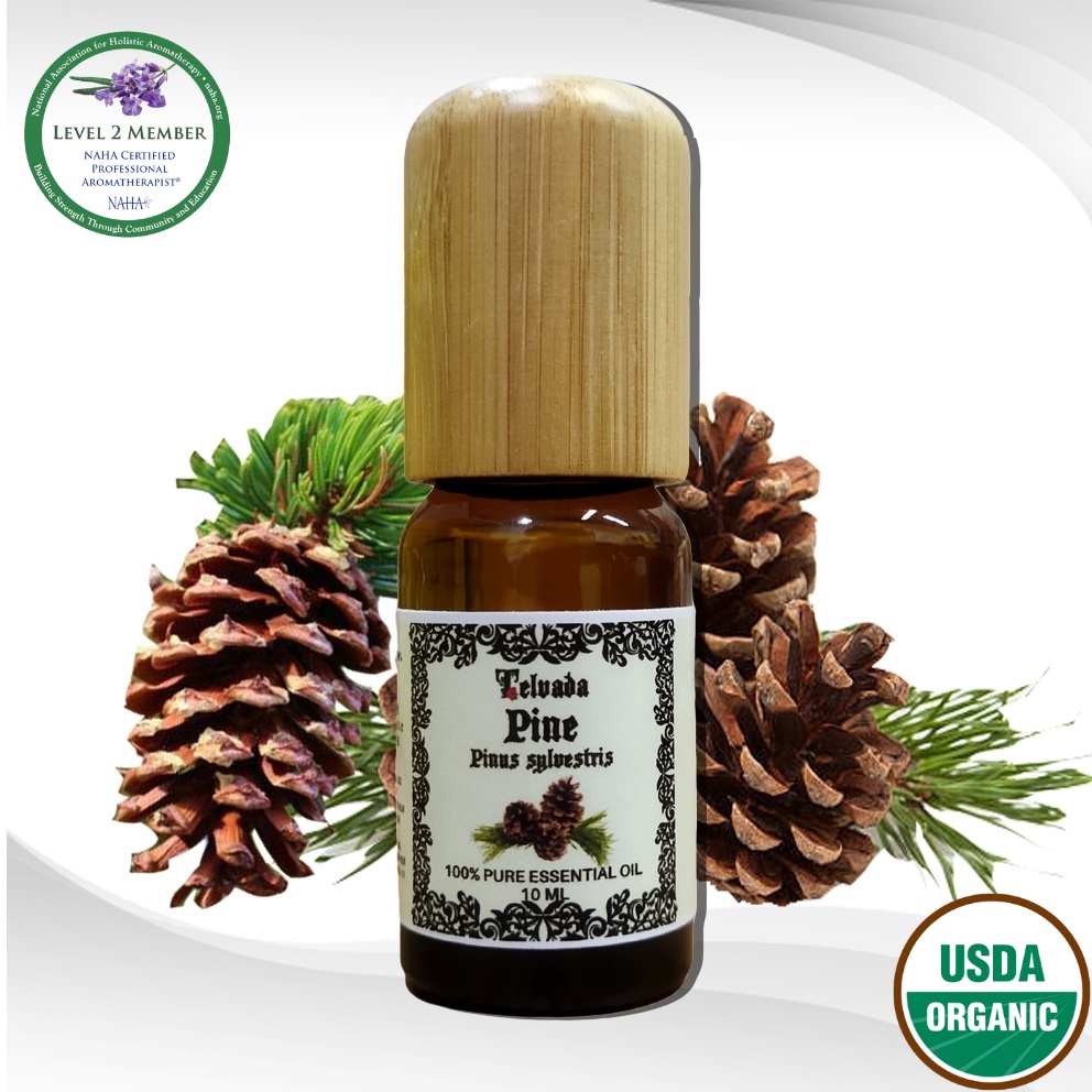 Pine USDA Organic Essential Oil น้ำมันหอมระเหย ต้นสนไพน์ ออร์แกนิค