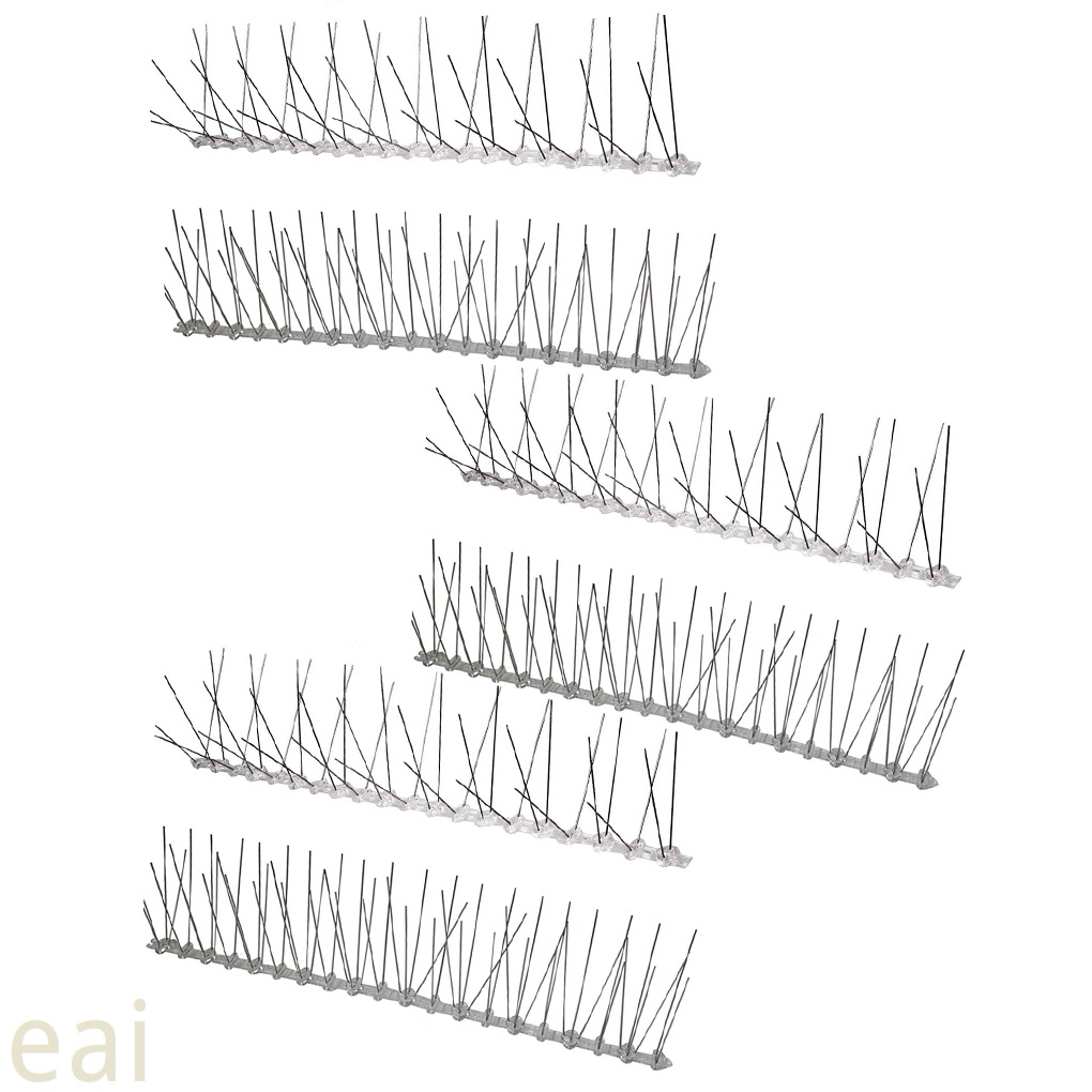 My Image 43
