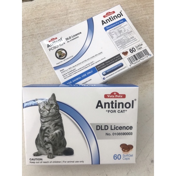 Antinol Cat  ลดอักเสบ บำรุงข้อ แมว ช่วยลดการระคายเคืองที่ผิวหนัง สารสกัดจากธรรมชาติ 60 caps