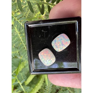 Lab opal 10x8mm 2 pieces Stabilised opal japan