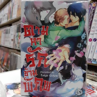 การ์ตูนวาย หนังสือการ์ตูนวาย เรื่อง ตามหารักข้ามพิภพ จบในเล่ม