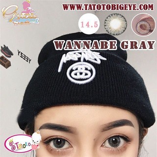 Merida gray  TATOTO Contact Lenses บิ๊กอาย #333