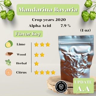 Mandarina Bavaria Hops GER  (1oz)  Crop years 2020 (บรรจุด้วยระบบสูญญากาศ)