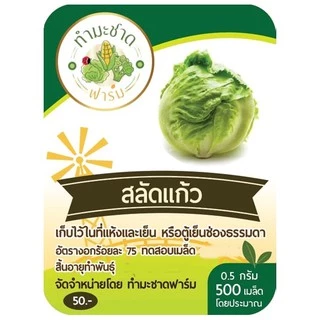 ทำมะชาดฟาร์ม (ซื้อ10แถม1) เมล็ดพันธุ์ สลัดแก้ว ขนาด0.5กรัม ประมาณ500เมล็ด ICEBERG ผักกาดแก้ว ผักสลัด เมล็ดพันธุ์พืช
