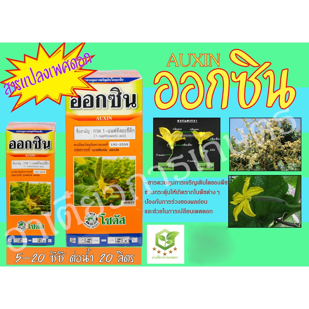 ออกซิน (Auxin) 100 ml. -500 ml. อาหารเสริมพืช ฮอร์โมนพืช ปุ๋ยน้ำ เปลี่ยนเพศดอก