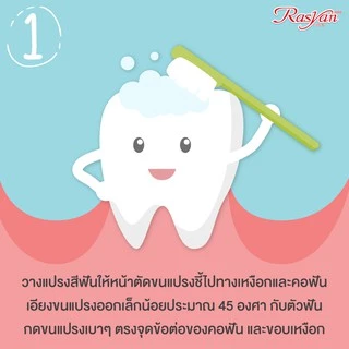 Rasyan ราสยาน ยาสีฟันสมุนไพร สูตรกานพลู ขนาด 5 กรัม Rasyan Herbal Toothpaste (Clove Formula) 5g