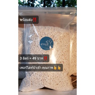 เพอร์ไลท์ 3 ลิตร‼Perlite 3 Liter🌵