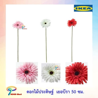 IKEA ต้นไม้ปลอม ไม้ประดิษฐ์ ดอกไม้ประดิษฐ์ ดอกไม้ปลอม เยอบีรา, แดง,ขาว,ชมพู สูง 50 ซม.