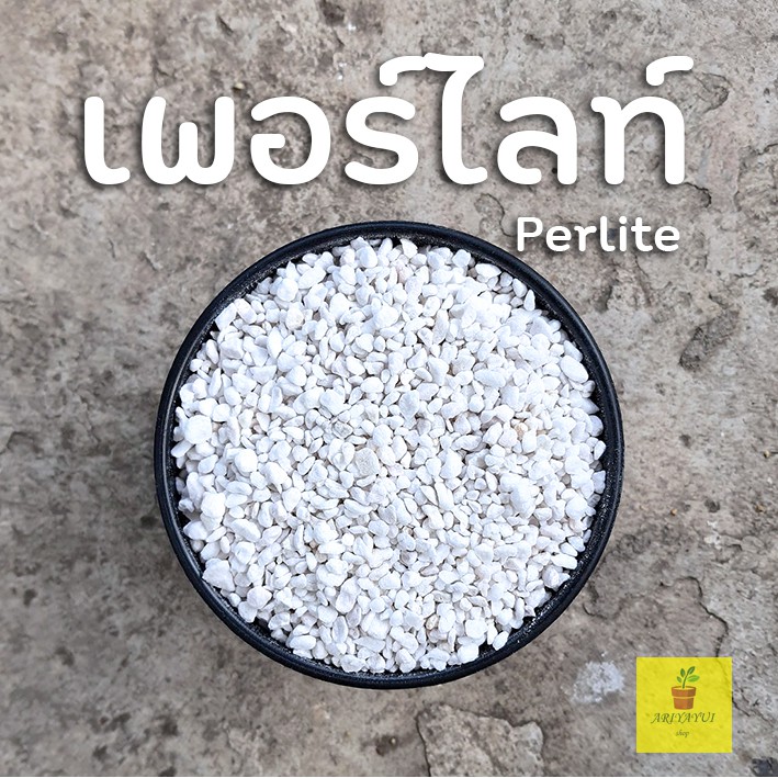 เพอร์ไลท์ perlite วัสดุปลูก แบ่งขาย 1 ลิตร