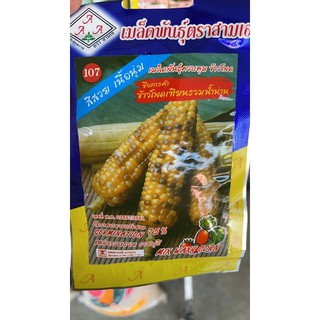 ข้าวโพดเทียน สีเหลืองเนื้อนุ่มหวานอร่อย 9 บาท🌽🌽🌱