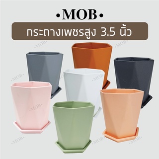 MOB กระถางเพชร 6เหลี่ยม ทรงสูง 3.5 นิ้ว พร้อมจานรอง กระถางแคคตัส ไม้ประดับ ไม้อวบน้ำ กระถางพลาสติก กระถางขาว พาสเทล