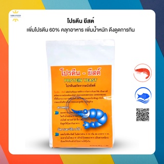 โปรตีนยีสต์ [โปรตีนสูง 60%+โพรไบโอติก ] มีกลิ่นคาวหอม กระตุ้นกิน กินจุ เร่งโตไว เร่งไซส ใช้แล้วน้ำไม่เสีย ปลอดภัย100%