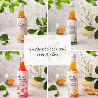 ชาหมักพร้อมดื่ม Mind Kombucha  คอมบูชะ fermented tea