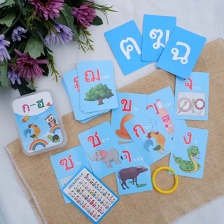 🇹🇭พร้อมส่ง : พยัญชนะไทย ก-ฮ / แผ่นภาพ ก-ฮ / ก.ไก่ / ABC / A-Z / เลข 0-100 / ตัวเลข