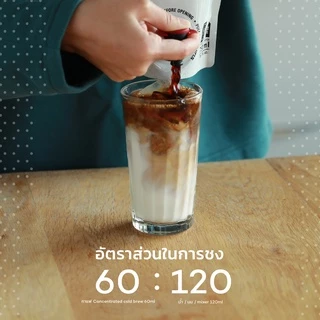 Roots Coffee Cold Brew Concentrate กาแฟ Cold Brew แบบเข้มข้น ขนาด 1.5L ชงได้ 25 แก้ว