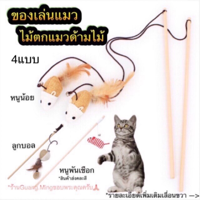 ของเล่นแมว ไม้ตกแมว ไม้ล่อแมว ของเล่นแมวน่ารัก สไตล์มินิมอล(🇹🇭พร้อมส่ง📦)