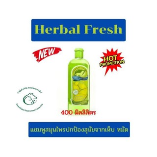 Herbal Fresh แชมพูสมุนไพรปกป้องสุนัขจากเห็บ หมัด  ขนาด 400 มิลลิลิตร