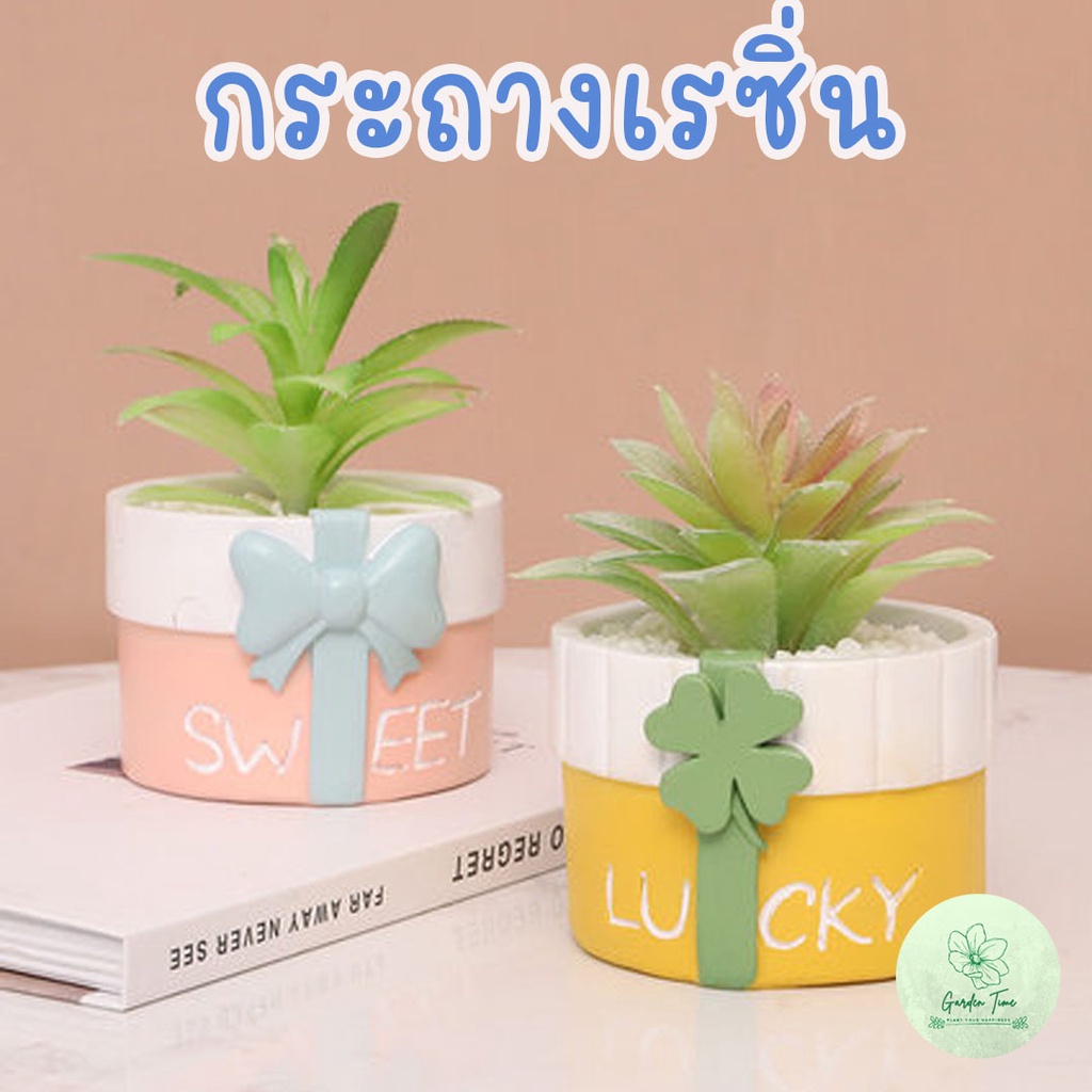 กระถางรซิน น้องหมาและลูกบอล แคตตัส กุหลาบหิน กระบองเพชร ไม้อวบน้ำ เล็ก จิ๋ว จัดสวน ต้นไม้ เรซิ่น