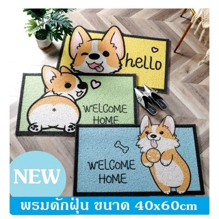 Homz🔥พรมเช็ดเท้า PVC พรมดักฝุ่น พรมหน้าบ้าน ขนาด 40x60cm