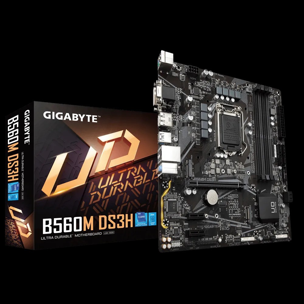 M/B GIGABYTE B560M DS3H