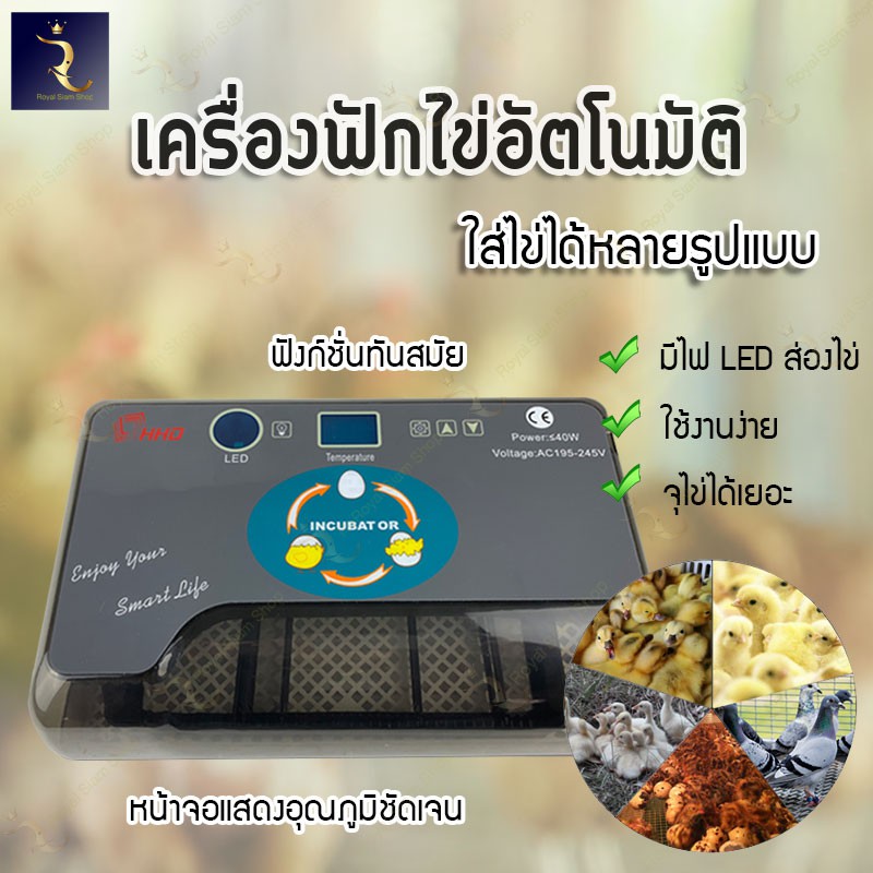 เครื่องฟักไข่ ตู้ฟักไข่ เครื่องฟักไข่อัตโนมัติ ไก่ เป็ด ห่าน นก ระบบอัตโนมัติ