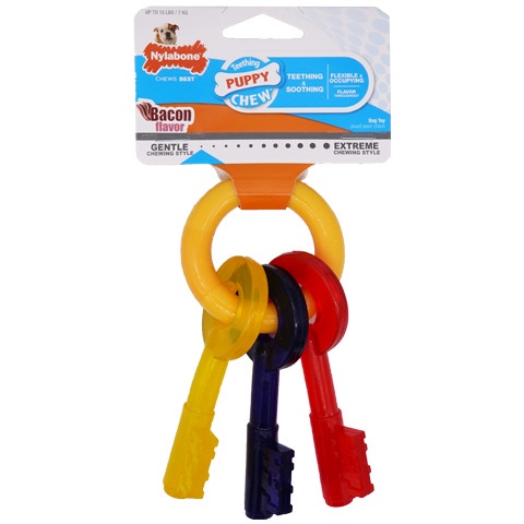 Nylabone Puppy ChewTething Keys Bacon X Small N219P