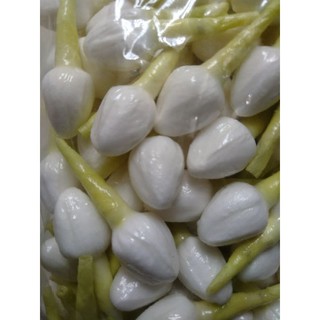 ดอกมะลิทิชชู่หอมขนาดเหรียญ 10 บาท