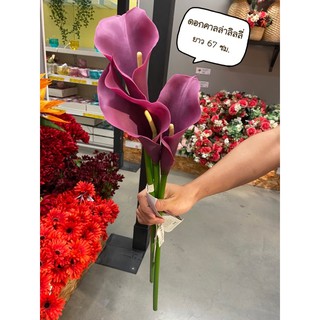 ดอกคาล่าลิลลี่ Calla lilly 🌟 IKEA 🌈 ดอกไม้ประดิษฐ์ สมึคก้า ดอกไม้ประดิษฐ์, Calla /สีม่วง67 ซม artificial flowers lilly