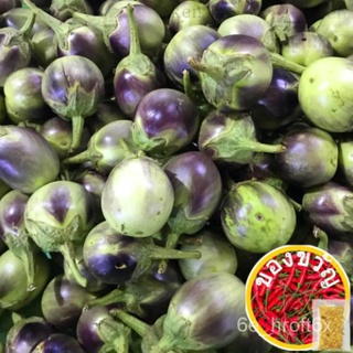 BULILIT EGGPLANT VEGETABLE SEEDS (90 seeds) สร้อยข้อมือ/ผู้ชาย/ผักกาดหอม/กระโปรง/ดอกไม้/หมวก/เด็ก/seeds/แอปเปิ้ล/บ้านและ