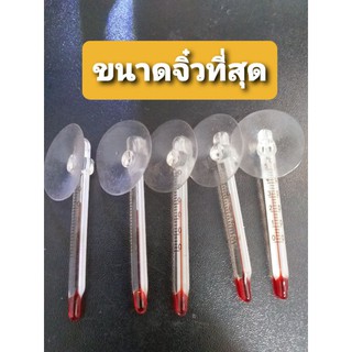 ปรอดแก้ววัดอุณภูมิน้ำ ขนาดจิ๋ว