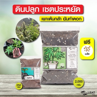 ชุดดินปลูกประหยัด ตั้งแต่เพาะต้นอ่อน-ทำใบ-ทำดอก 420 planting soil ฟรีเมล็ดพันธุ์