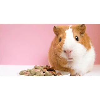 โรงงานขายตรง แบ่งบรรจุ 1 กก. ถุงซิป สมาร์ทฮาร์ท สัตว์ฟันแทะ SmartHeart Rodent แกสบี้ หนูตะเภา หนูขวัญ กระต่าย แฮมเตอร์