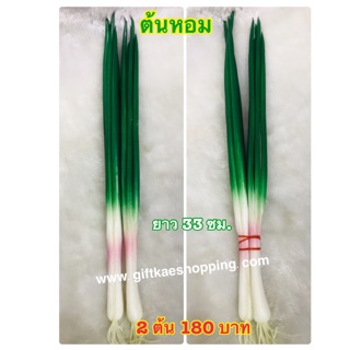 ผักจำลอง ต้นหอมปลอม ต้นใหญ่นะคะโมเดลต้นหอมปลอม(ราคา2ต้น) วัสดุผลิตจากยางล้างน้ำทำความสะอาดได้