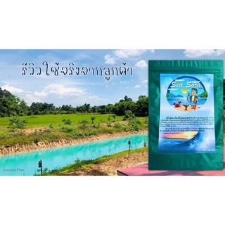 สีน้ำเทียม 250 กรัม Sea Sora (ผงเปลี่ยนสีน้ำเร่งด่วน)(สีฟ้าน้ำทะเล)(ผงทำสีน้ำทะเล) 250 กรัม