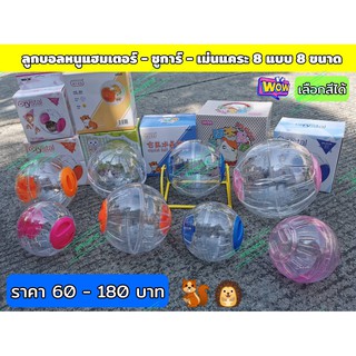 ลูกบอลสำหรับ แฮมเตอร์ ชูการ์ กระรอก เม่นแคระ ดอเมาส์ ขนาด 12 - 18 cm. มีให้เลือก 8 ขนาด