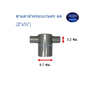 สามตาฝาครอบเกษตร ลด ท่อน้ำไทย (2”x¾”) Thai Pipe Tee Cap For Agricultural Use เทา 2x3/4