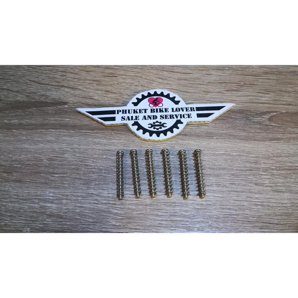 #ซ่อมกีตาร์​ น๊อต pickup พร้อมสปริง ชุด 6 ตัว M2.5x32MM Electric Guitar Humbucker Pickups Adjust Height Screw and Spring
