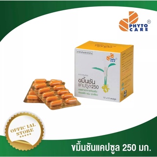 PHYTO CARE ขมิ้นชันแคปซูล 250 มก.