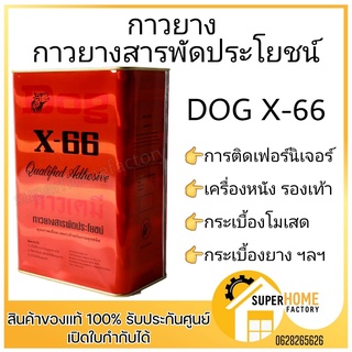 กาว กาวยาง กาวยางหมา กาวdog กาวหมา x-66 ขนาด แกลลอน 3 ลิตร กาวยางตราหมา