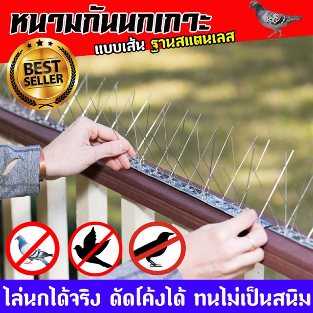 หนามป้องกันไล่นก อุปกรณ์ป้องกันนก ฐานสแตนเลสหนามสแตนเลส