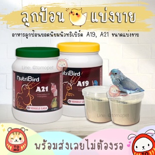 ร้านโทโมะ 💕 แพคเกจใหม่ Nutribird A21 ขนาด 250g อาหารนกลูกป้อน ยอดนิยม