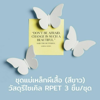 Qualy Design Butterfly Magnet 3pcs/set (White Color) - แม่เหล็กติดตู้เย็น รุ่น ผีเสื้อ สีสันสดใส 3 ชิ้น/เซท (สีขาว)