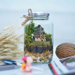 (ลด 150.- โค้ด DETFEB150)  Terrarium DIY Kit ชุดจัดสวนในขวดแก้วกึ่งสำเร็จรูป