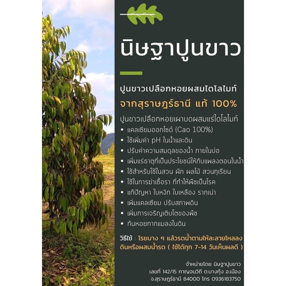 ปูนขาวเปลือกหอยผสมแร่โดโลไมท์