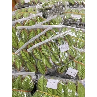ใบไม้ผ้า ใบกุหลาบ แพ็คละ 100 ใบ(10มัด)