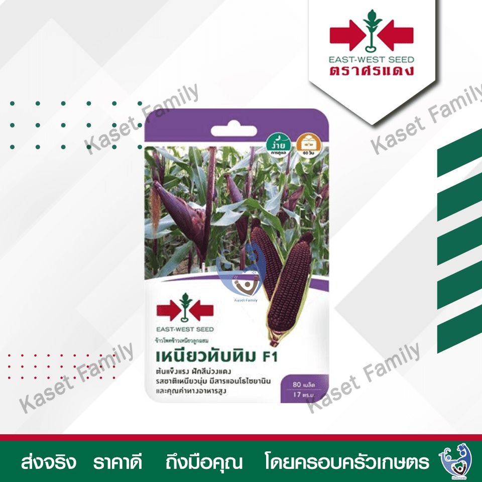 ผักซอง ข้าวโพด เหนียวทับทิม 80 เมล็ด เมล็ดข้าวโพด ตราศรแดง