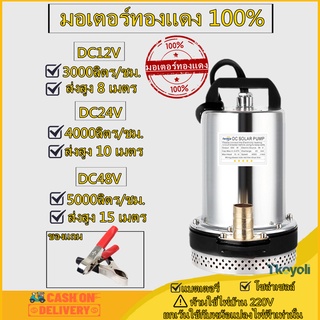 พร้อมส่ง！DC Pump ปั๊มน้ำไดโว่ฐานเหล็ก ท่อออก 1 นิ้ว  12V 24V 48V วไดโว่ ปั๊มแช่ ปั๊มจุ่ม ปั๊มน้ำ โซล่าเซลล์