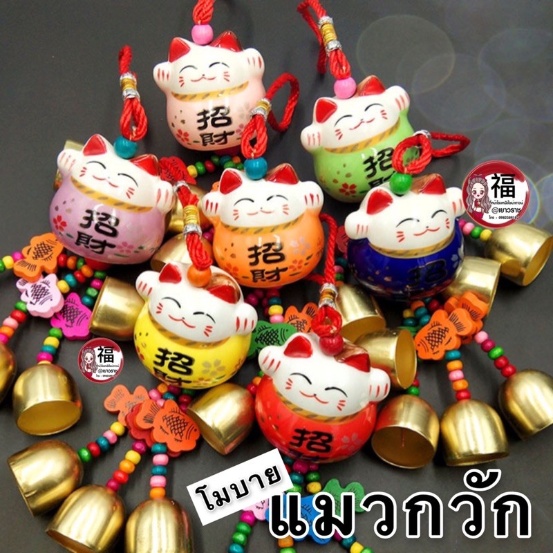 My Image 65